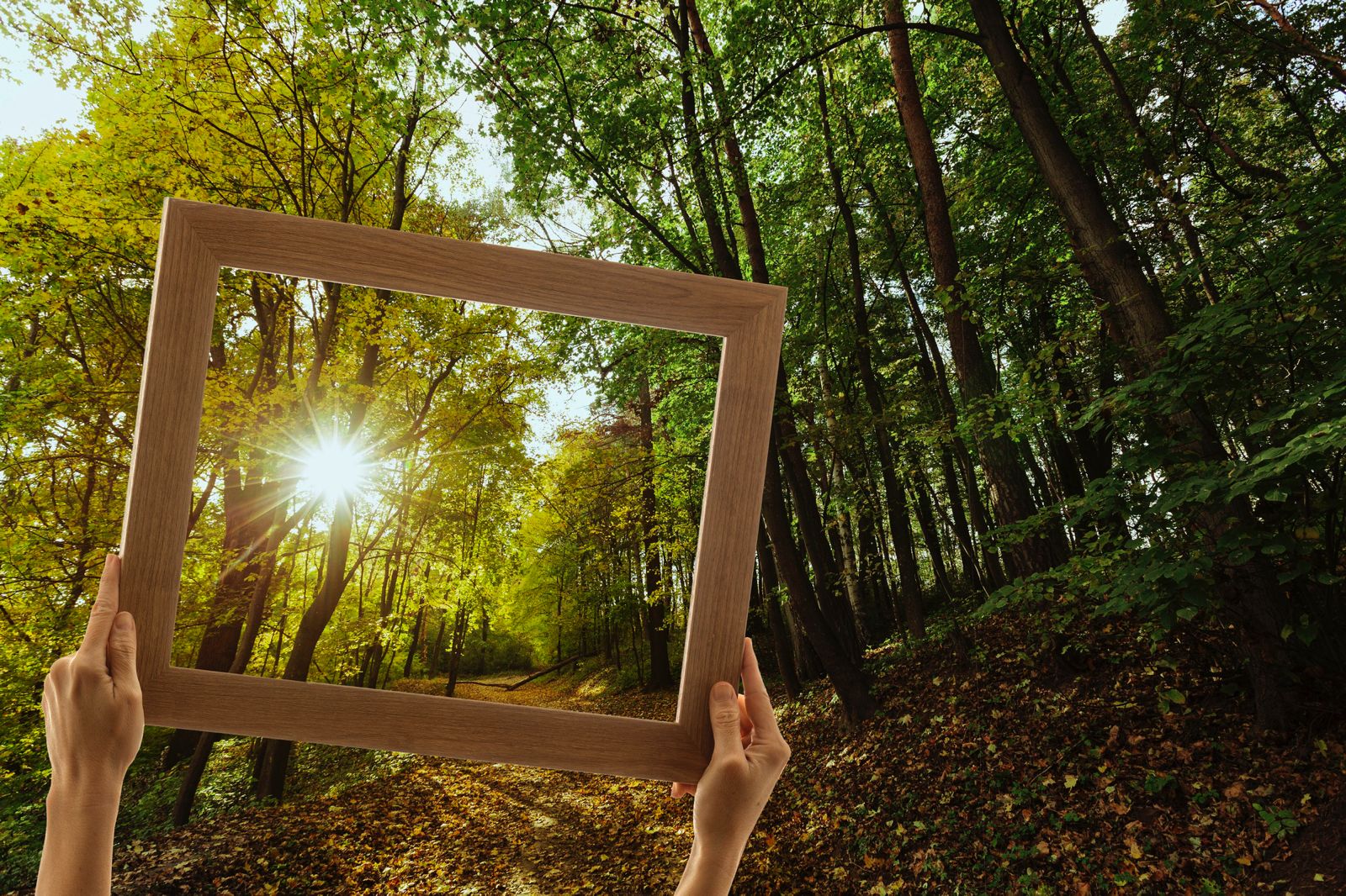 Life Beyond the Window