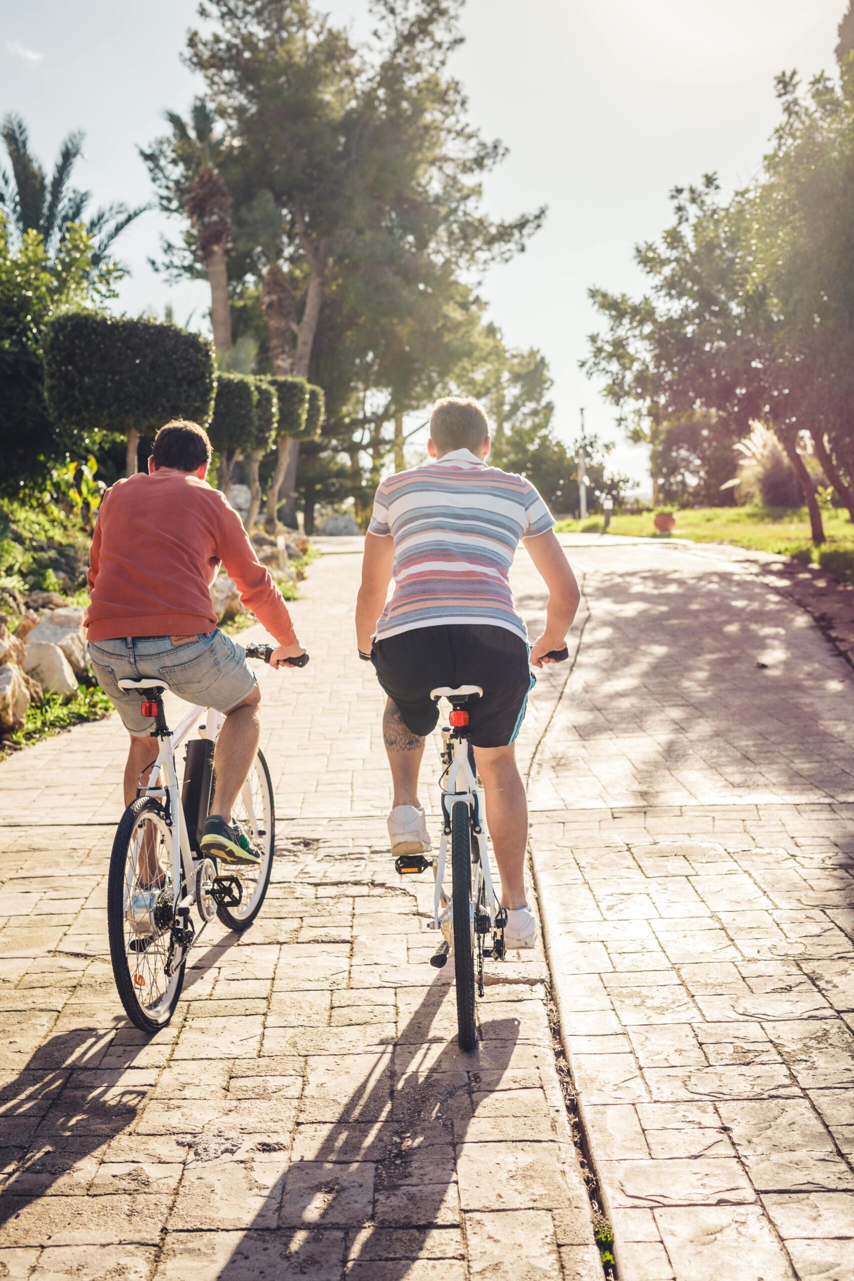 Bike lanes - walking track 