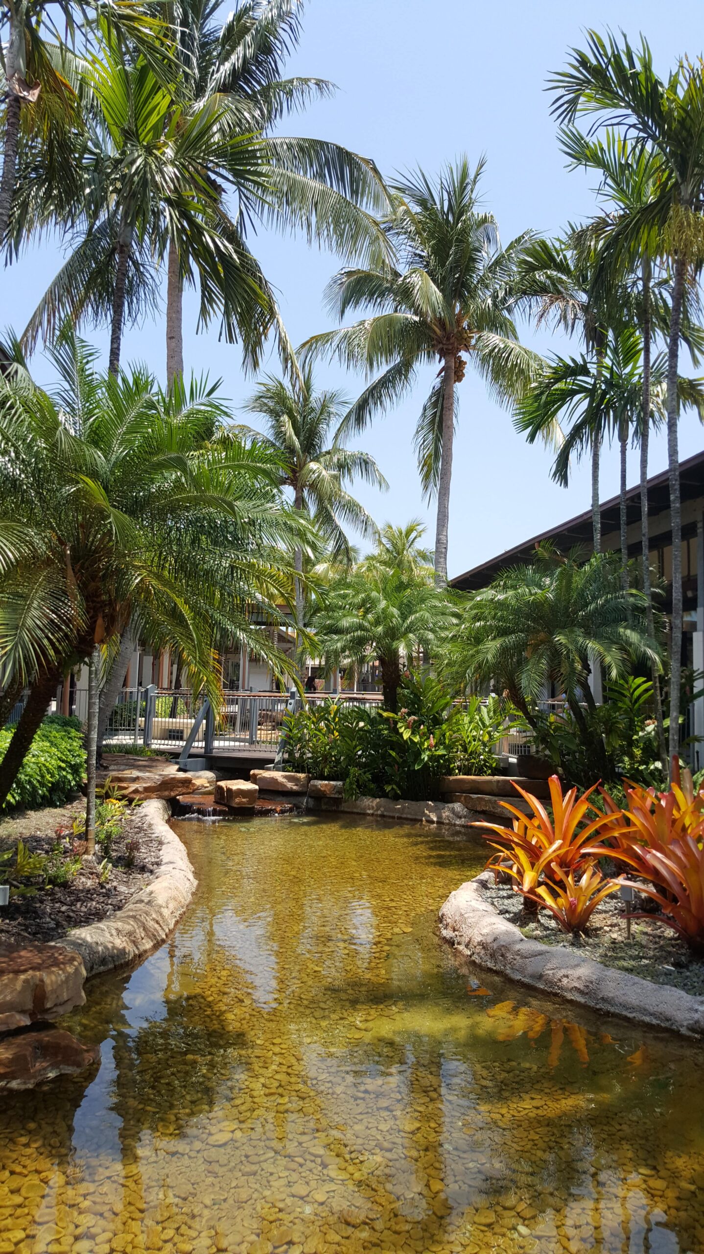 Water features